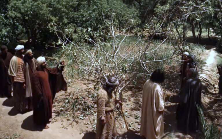 1. The Lesson from the Withered Fig Tree