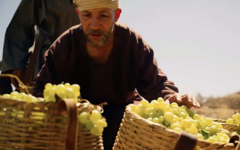 3. The Parable of the Wicked Tenants