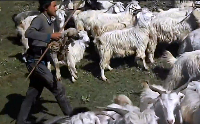 7. The Final Judgement